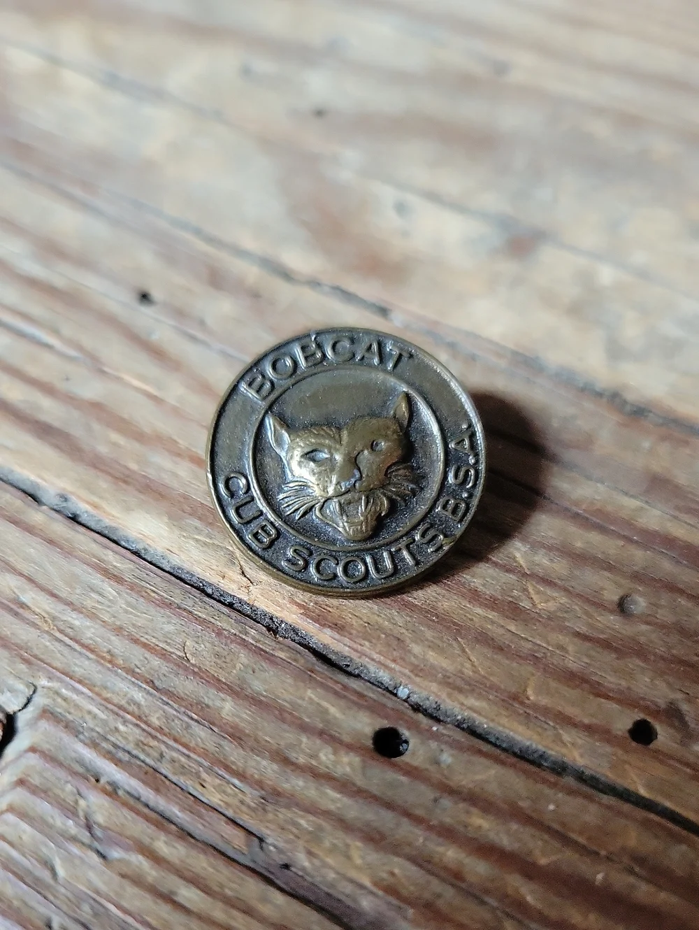 Vintage 1940's Bobcat Club Scouts BSA Bronze Pin